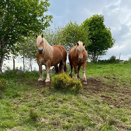 La Grangette De Barbe